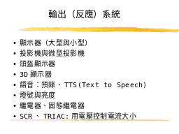 輸出（反應）系統